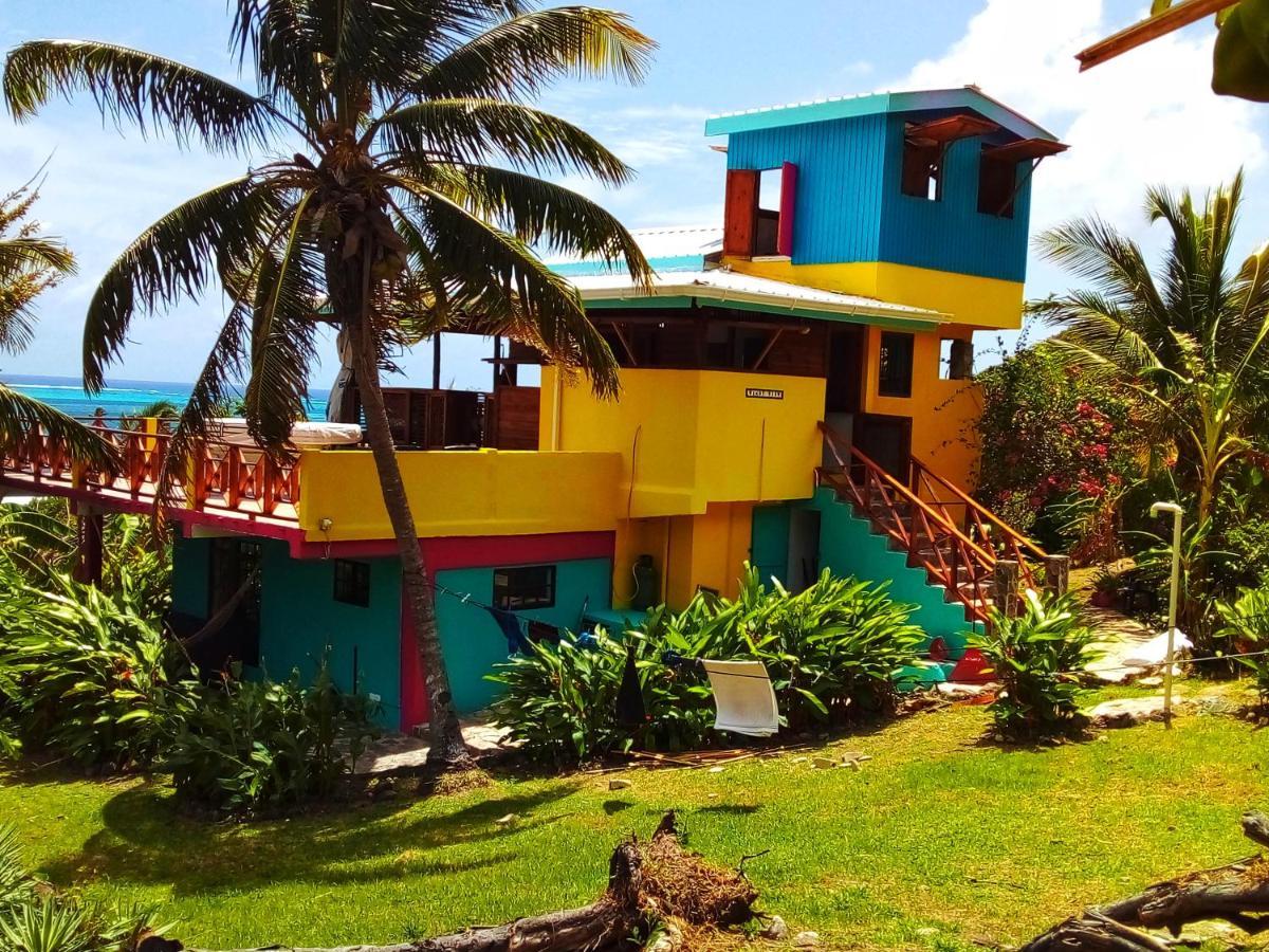 Windy View Guest House Archibolds Esterno foto