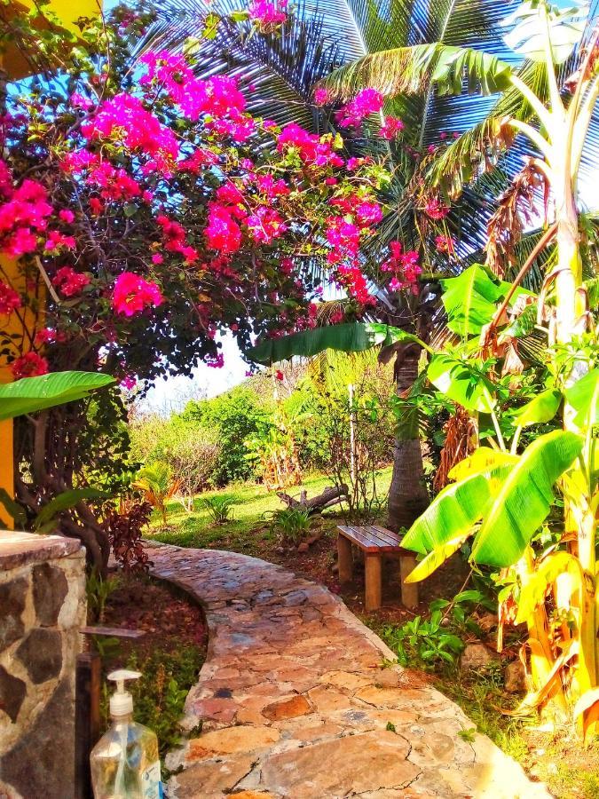 Windy View Guest House Archibolds Esterno foto