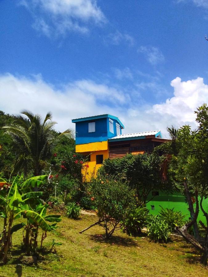 Windy View Guest House Archibolds Esterno foto