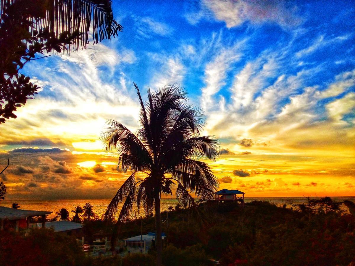 Windy View Guest House Archibolds Esterno foto