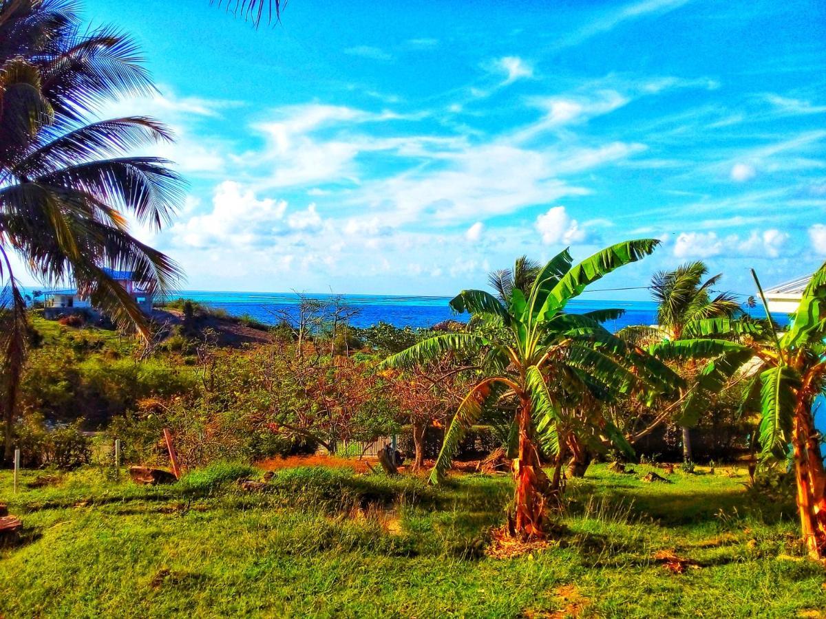 Windy View Guest House Archibolds Esterno foto