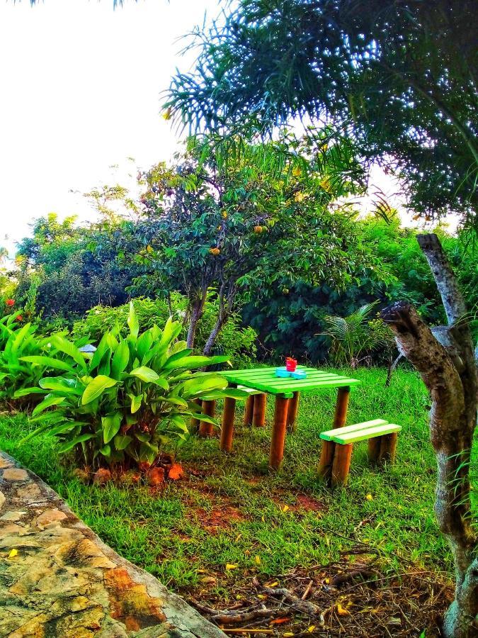 Windy View Guest House Archibolds Esterno foto
