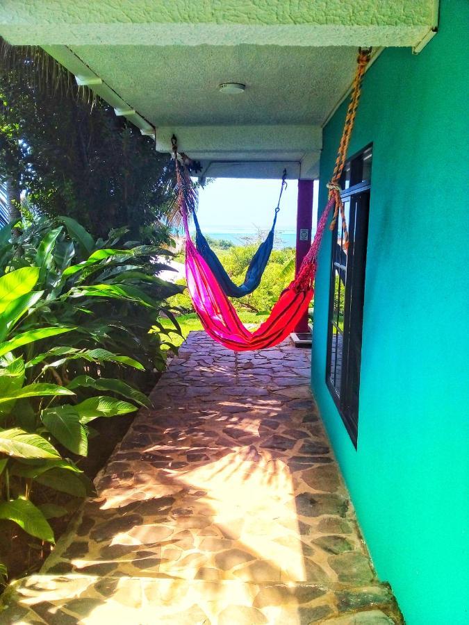 Windy View Guest House Archibolds Esterno foto