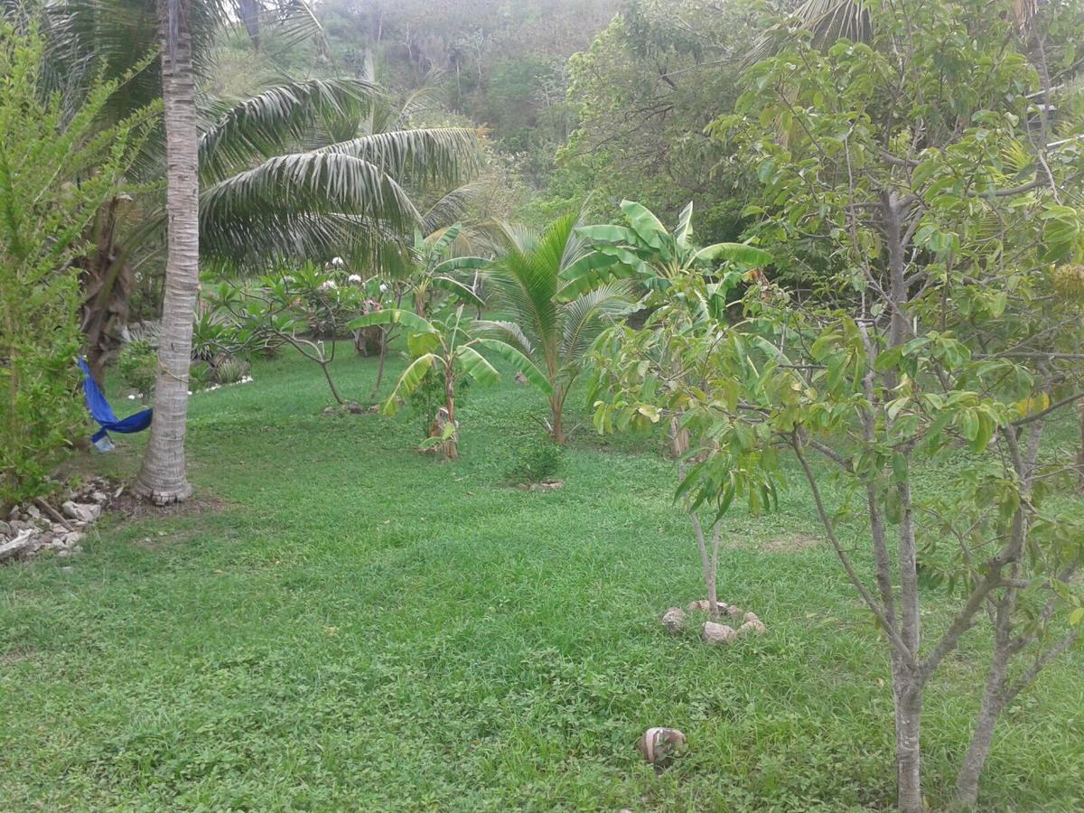 Windy View Guest House Archibolds Esterno foto