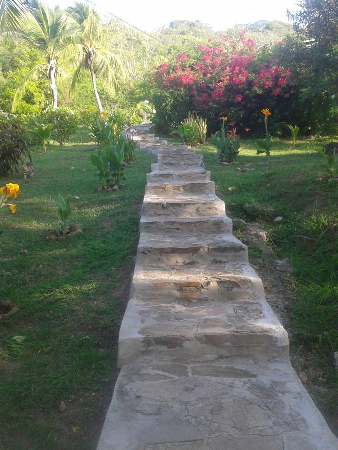 Windy View Guest House Archibolds Esterno foto