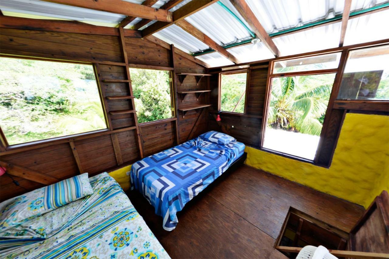 Windy View Guest House Archibolds Esterno foto